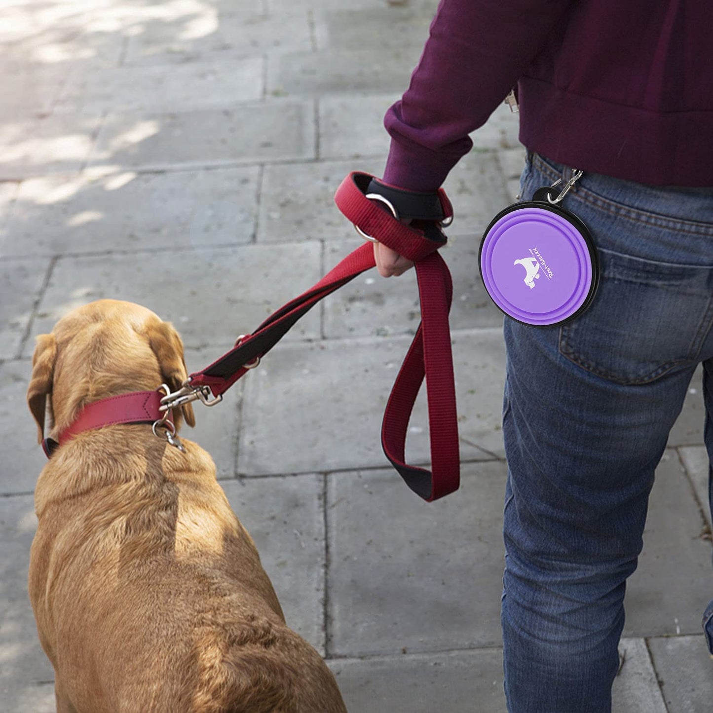 Collapsible Dog Bowls for Travel, 2-Pack Dog Portable Water Bowl for Dogs Cats Pet Foldable Feeding Watering Dish for Traveling Camping with Carabiners, BPA Free (Purple&Pink, Small (Pack of 2))